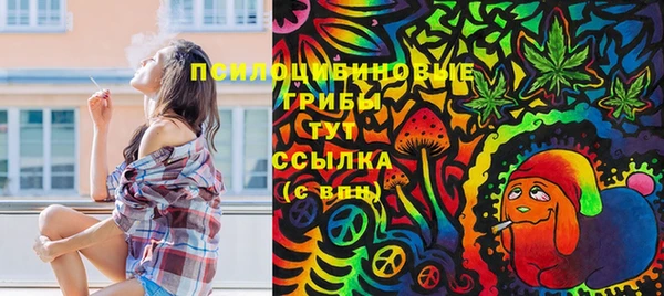 бошки Фёдоровский