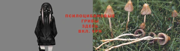 мяу мяу мука Зеленокумск