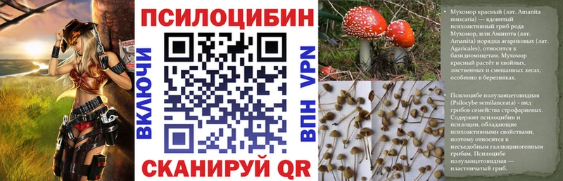 сколько стоит  Судогда  Псилоцибиновые грибы GOLDEN TEACHER 